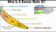 Banana Nutrition Facts - Nutrients & Calories in a Banana