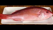 Mastering the Art of Cleaning and Cutting a Snapper: How to Fillet a Fish, Tell Freshness.