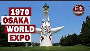 Osaka World Expo: Expo 70 Tower of the Sun & Monorails.