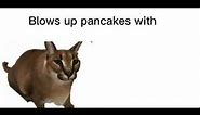 Blows Up Pancakes with MIND