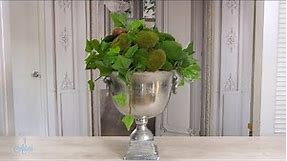 How to make an ivy & moss topiary into a vintage champagne bucket