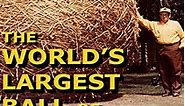 The World's largest Ball of Twine. online