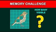 Memory Challenge game | Brainteasers | Visual Memory Test | Memory Quiz