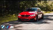 THIS WILL MAKE YOU WANT AN F80 BMW M3 | Bryan's Ferrari Red M3