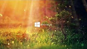 [Live Wallpaper] Windows 10 Nature Live Wallpaper [4K]