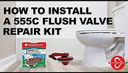 Water Running From Toilet Tank to Bowl: Fix it with Fluidmaster 555C Flush Valve Repair Kit