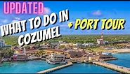 UPDATED Cozumel Cruise Guide | Port Tour + Excursions