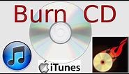 How to Burn CDs In iTunes