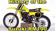 History of the Suzuki RM100 1976-2003 / DirtBikeDudeZ