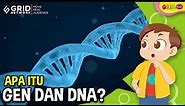 Mengenal Apa Itu Gen dan DNA dan Bagaimana DNA itu Diturunkan