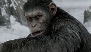 "War For The Planet Of The Apes" Has Its Own Racial History
