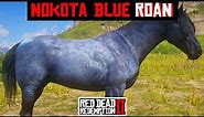 Rare Horse Nokota Blue Roan Location