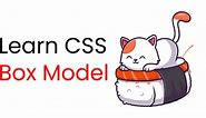 CSS Box Model Properties – Explained With Examples ✨