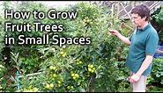 How to Grow Fruit Trees in Small Spaces