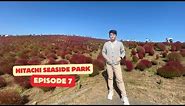 Hitachi Seaside Park Japan | Travel Vlog