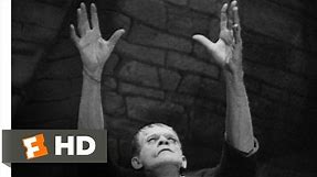 Frankenstein (3/8) Movie CLIP - Meet the Monster (1931) HD