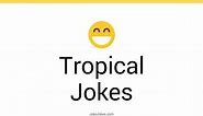 75  Tropical Jokes And Funny Puns - JokoJokes
