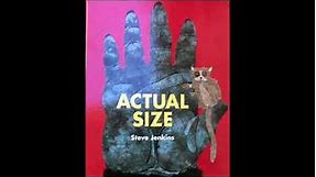 Read Aloud "Actual Size"