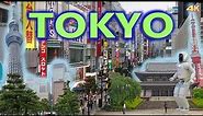TOKYO - JAPAN 4K