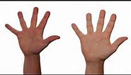 los tipos de manos y sus significados