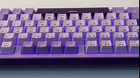 HUO JI Mechanical Gaming Keyboard USB Wired Compact with Number Pad, Purple Led Backlit, Blue Switch, Detachable Type C Cable, 94 Keys for PC/Computer/Laptop, White and Purple