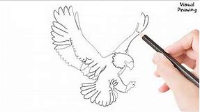 Harpy Eagle Drawing Easy, How To Draw A Harpy Eagle Flying For Beginners Step By Step