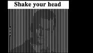 Shake Your Head Illusion Clip