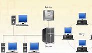 What is a LAN (Local Area Network)