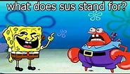 what does sus stand for ? 😂 l spongebob meme l