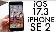 iOS 17.3 On iPhone SE (2020)! (Review)