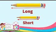 Long and Short || Comparing Lengths || Kindergarten Lessons || Math for Kids Episode 6.1