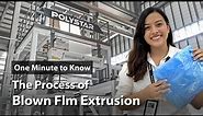 How does Blown Film Extrusion Work? | One Minute to Know EP19