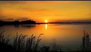 Calming Nature Ambience For Stress Relief, Relaxation & Sleep | Lake At Sunset | Loon Calls At Night