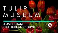 Tulip Museum Visit - January 2020 - Amsterdam