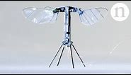 Insect-sized robot takes flight: RoboBee X-Wing