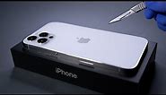 iPhone 12 Pro Max Unboxing and Camera Test - ASMR