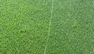 Cutting out for the half d on football boxes. #grassgods #sportspitch #football #artificialgrass #astroturf #3G #satisfyingvideo | Grass Gods