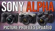 SONY A6700 , A7Cii , A7IV PICTURE PROFILES EXPLAINED
