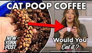 Cat poop coffee taste test will turn your stomach | Would You Eat It? | New York Post