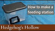 How To Make A Hedgehog Feeding Station | Hedgehog's Hollow