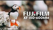 I'VE DREAMED OF THIS TRIP! - FUJIFILM 150-600MM REVIEW