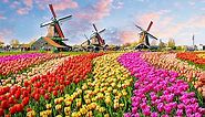 The Netherlands travel