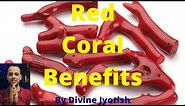 Red Coral Stone Benefits: Red Coral Benefits-Red Coral Wearing Finger-Benefits Of Red Coral Gemstone