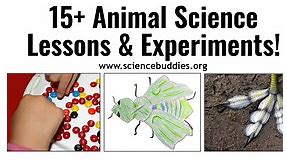 18 Animal Science Lessons and Experiments | Science Buddies Blog
