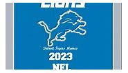 Congratulations to the 2023 NFC North Division Champion Detroit Lions #Lions #OnePride | Detroit Tigers Memes