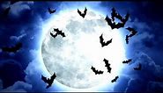 PARTY BACKGROUNDS - Halloween - Moon Bats Blue Scary