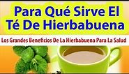 PARA QUE SIRVE EL TE DE HIERBABUENA Para Que Sirve La Hierbabuena y Sus Beneficios Para La Salud