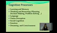 Cognition and Cognitive Processes CP