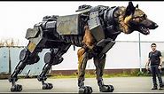 9 STRONGEST Robots in the World! (NEW 2024)