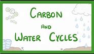 GCSE Biology - What is the Carbon Cycle? What is the Water Cycle? Cycles Explained #88